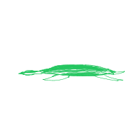 shy turtle drawing by kiran in Artbitrator