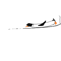 penguin sliding drawing by kiran in Artbitrator
