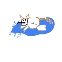 sleeping cat drawing by sri1998 in Artbitrator