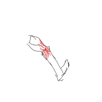 break a leg drawing by fuwariee in Artbitrator