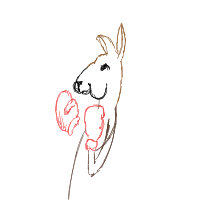 kangaroo boxing drawing by peakhasso in Artbitrator
