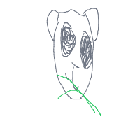 panda eating bamboo drawing by julia in Artbitrator