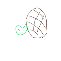 sea turtle drawing by julia in Artbitrator