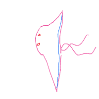 stingray drawing by julia in Artbitrator