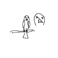 angry bird drawing by capncrunch in Artbitrator