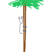 koala hugging tree drawing by jaggy in Artbitrator