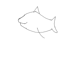 great white shark drawing by de10zito in Artbitrator