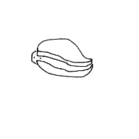 shy turtle drawing by hsgtelijah in Artbitrator