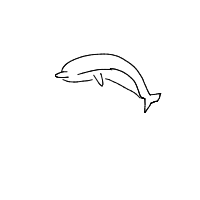 dolphin drawing by aidanrx03 in Artbitrator