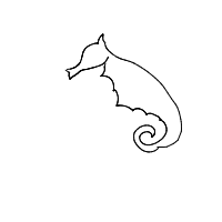 seahorse drawing by aidanrx03 in Artbitrator