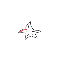 starfish drawing by aidanrx03 in Artbitrator