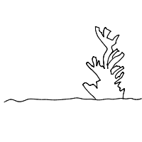 coral reef drawing by aidanrx03 in Artbitrator