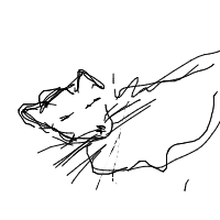 sleeping cat drawing by buzzyb10 in Artbitrator