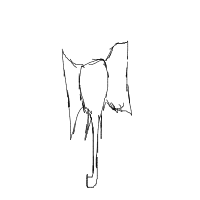 elephant in room drawing by newbie in Artbitrator