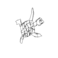 shy turtle drawing by newbie in Artbitrator