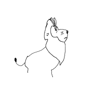 proud lion drawing by ovvu in Artbitrator