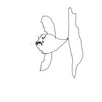 grumpy fish drawing by srush in Artbitrator