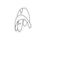 shy turtle drawing by srush in Artbitrator