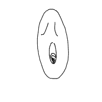 yawning drawing by srush in Artbitrator