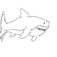 great white shark drawing by hahahaaaa in Artbitrator