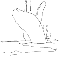 whale breaching drawing by hahahaaaa in Artbitrator