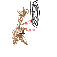 kangaroo boxing drawing by guest-gsf4oepz9 in Artbitrator