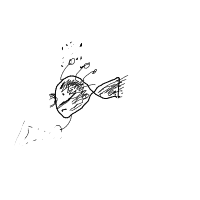 clownfish drawing by salim in Artbitrator